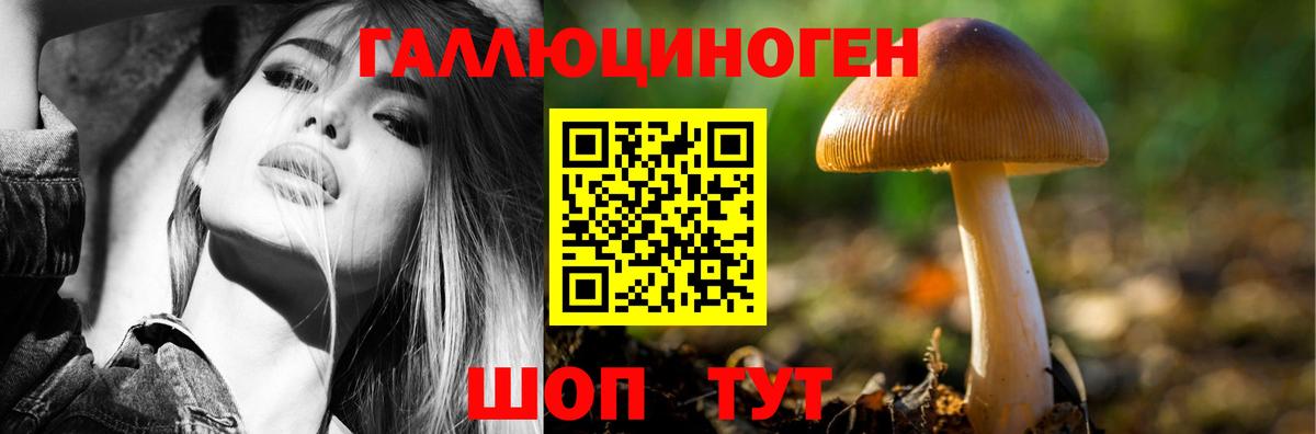 Галлюциногенные грибы мухоморы  Вход с VPN  Галлюциногенные грибы MAGIC MUSHROOMS  Можайск 